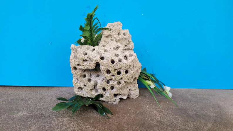 4 pcs set Handmade Aquarium Cave Fish Hideout Shelter Cichlid & Shrimp Hideaway Homeartparis production