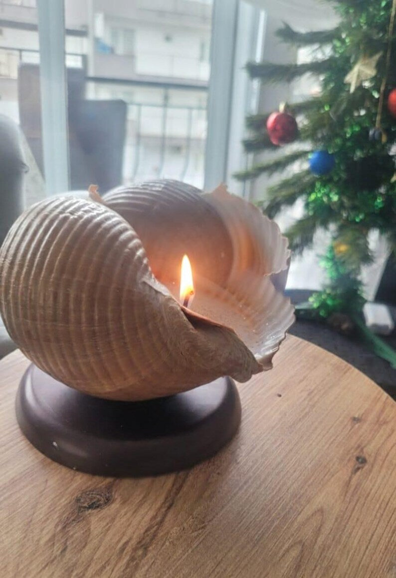 The One of a Kind Rare Giant Seashell Candle Luxury Ocean Decor Homeartparis production