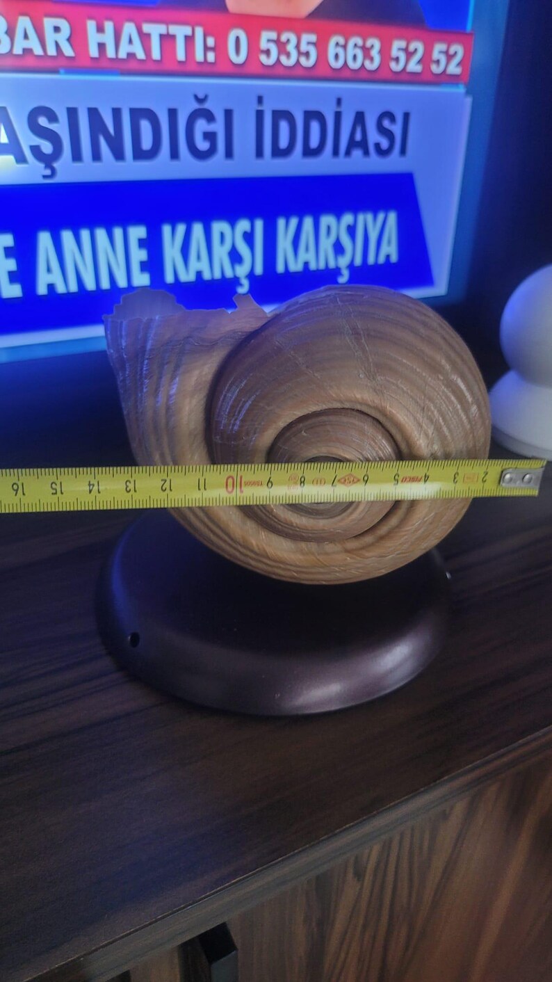 The One of a Kind Rare Giant Seashell Candle Luxury Ocean Decor Homeartparis production