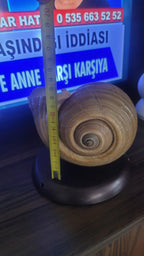 The One of a Kind Rare Giant Seashell Candle Luxury Ocean Decor Homeartparis production