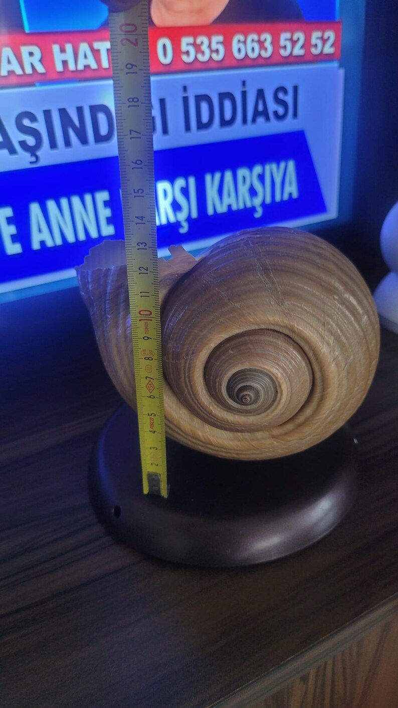 The One of a Kind Rare Giant Seashell Candle Luxury Ocean Decor Homeartparis production