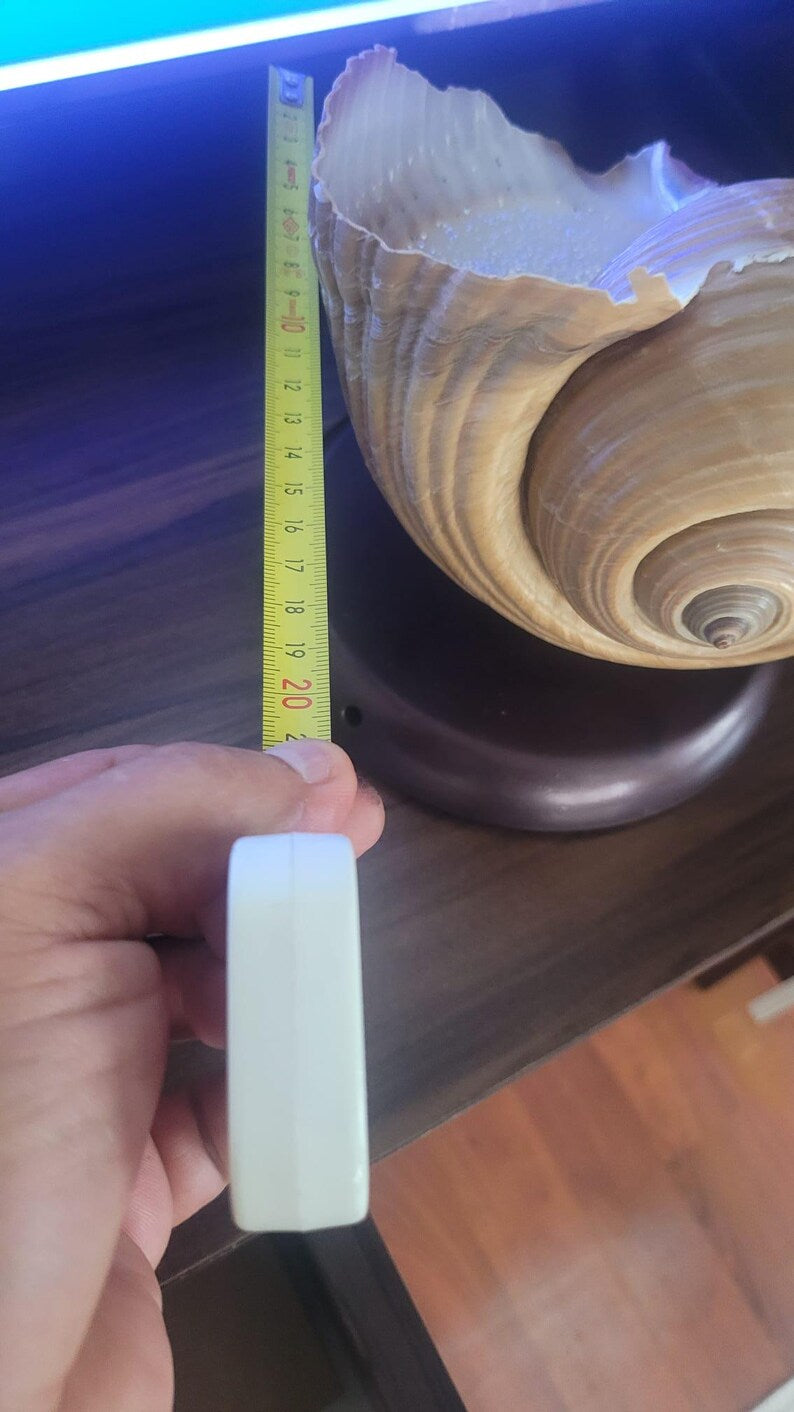 The One of a Kind Rare Giant Seashell Candle Luxury Ocean Decor Homeartparis production