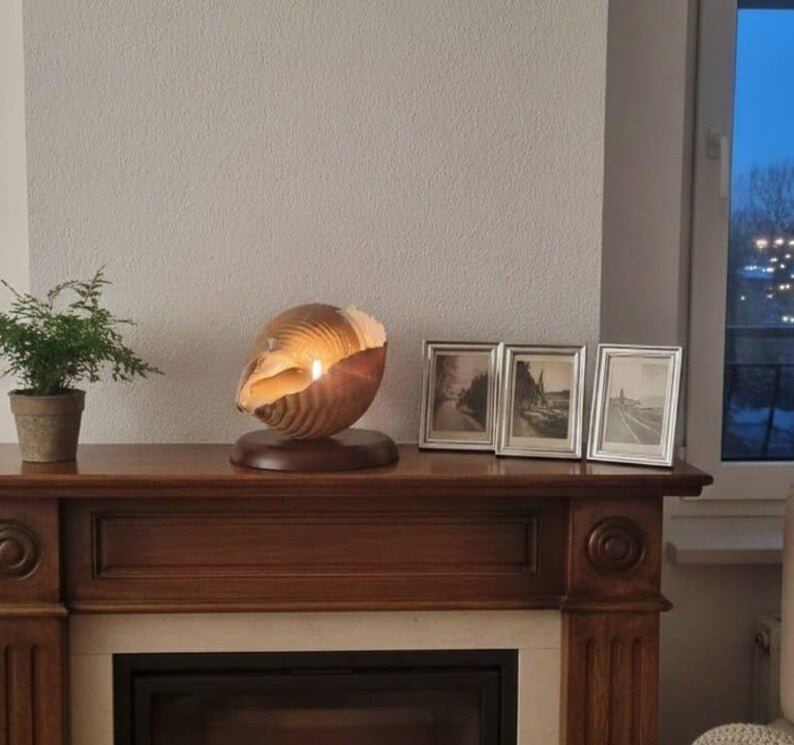 The One of a Kind Rare Giant Seashell Candle Luxury Ocean Decor Homeartparis production