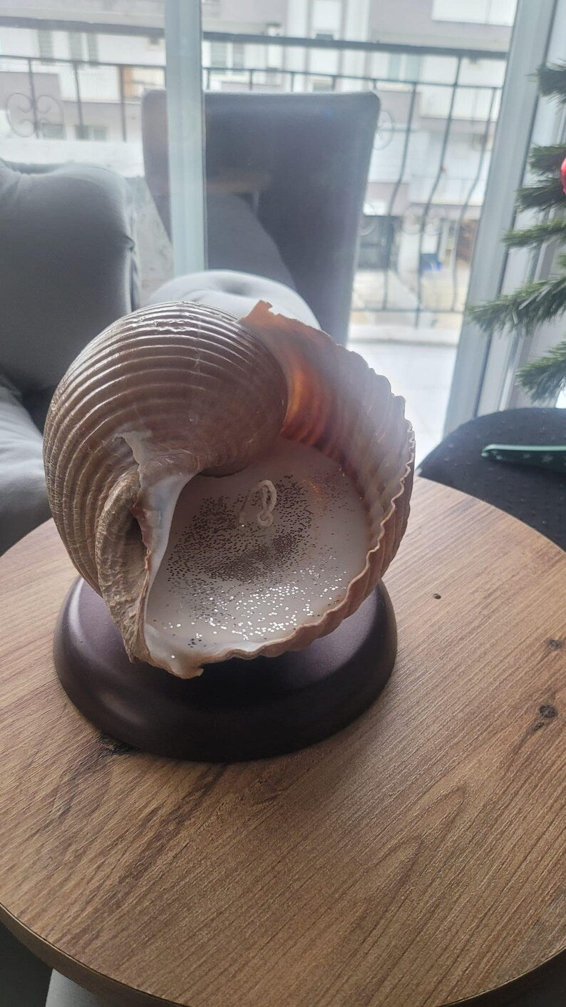 The One of a Kind Rare Giant Seashell Candle Luxury Ocean Decor Homeartparis production