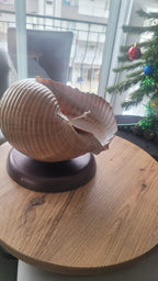 The One of a Kind Rare Giant Seashell Candle Luxury Ocean Decor Homeartparis production
