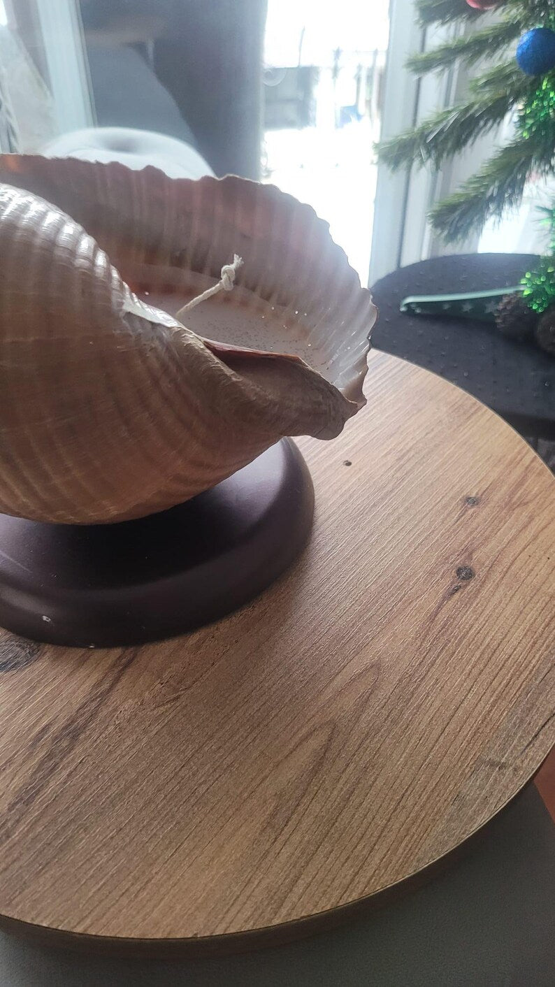 The One of a Kind Rare Giant Seashell Candle Luxury Ocean Decor Homeartparis production