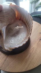 The One of a Kind Rare Giant Seashell Candle Luxury Ocean Decor Homeartparis production