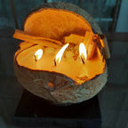 The Candle in Real Coconut Natural Coconut Decorative Candle Homeartparis production)