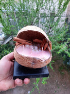 The Candle in Real Coconut Natural Coconut Decorative Candle Homeartparis production)