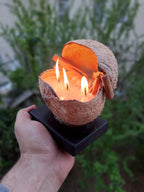 The Candle in Real Coconut Natural Coconut Decorative Candle Homeartparis production)