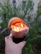 The Candle in Real Coconut Natural Coconut Decorative Candle Homeartparis production)