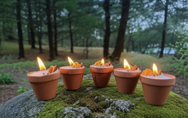 homeartparis Handmade Terracotta Pot Candle 5 pcs set, Rustic Decor with Cinnamon & Dried Fruit, Wedding Favor, Table Centerpiece, Natural Kitchen Candle