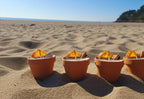 homeartparis Handmade Terracotta Pot Candle 5 pcs set, Rustic Decor with Cinnamon & Dried Fruit, Wedding Favor, Table Centerpiece, Natural Kitchen Candle