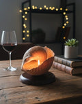 The One of a Kind Rare Giant Seashell Candle Luxury Ocean Decor Homeartparis production