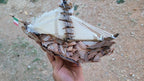 The Marco Polo Handmade Driftwood Boat Tiny Sailing Ship Model Homeartparis production