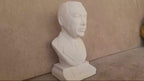 Recep Tayyip Erdoğan Bust, World Leaders Series Statue, Collectible Marble Dust Figurine, Office Desk Decor, Executive Gift