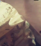 Masterpiece Hand-Carved Solid Chestnut Grand Entrance Gate - 4.5 Meters Wide Luxury Exterior Door - Homeartparis production