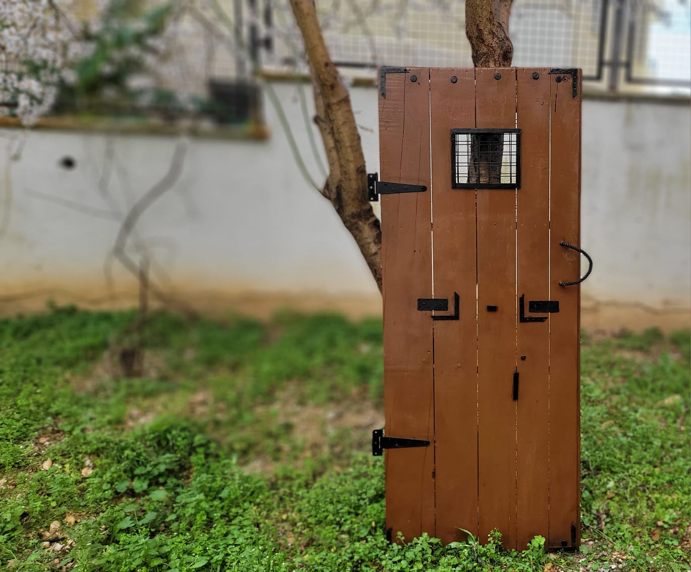 Handmade Vintage Rustic Wooden Door, Farmhouse Style Interior Door with Mesh Window Homeartparis production