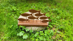 Brown Wood Fish School Table Decor, Rustic Handmade Coastal Shelf Art Homeartparis production