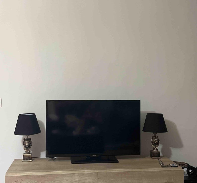 Luxury Lion Sculpture Lamp: Artistic & Modern Table Lamp - Homeartparis production
Important Note: Free Worldwide Shipping & Universal Electrical Compatibility!