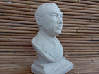 Recep Tayyip Erdoğan Bust, World Leaders Series Statue, Collectible Marble Dust Figurine, Office Desk Decor, Executive Gift